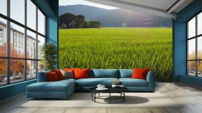 Countryside view at dusk, rice fields Wall mural