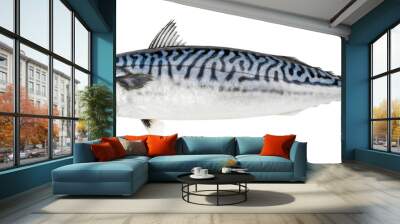 Atlantic mackerel fish isolated on white background Wall mural