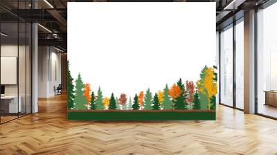 Autumn forest, colorful trees and green spruce trees. Vector illustration Wall mural