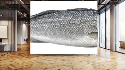 Fish sea bass isolated. Side view Wall mural