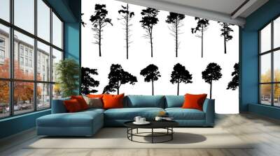 Pine trees silhouette isolated, set. Coniferous forest. Vector illustration. Wall mural