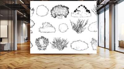 Set of bush and bare bush, decorative garden plants, contour. Vector illustration Wall mural