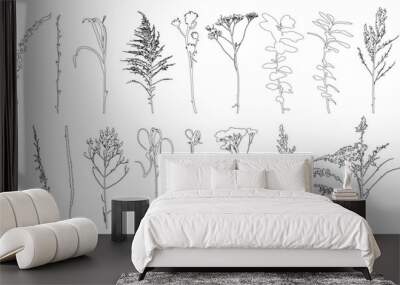 Set of weeds, wild plants in field and forest for architecture and landscape design, contour. Vector illustration Wall mural