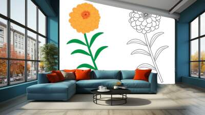 Zinnia flower colorful and in black with white colors. Vector illustration. Wall mural