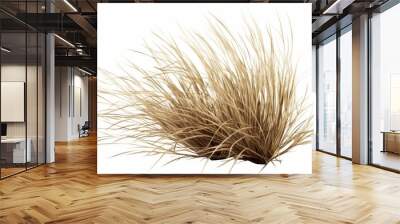 tuft of dry grass, desert plant isolated on white background, Generative AI Wall mural