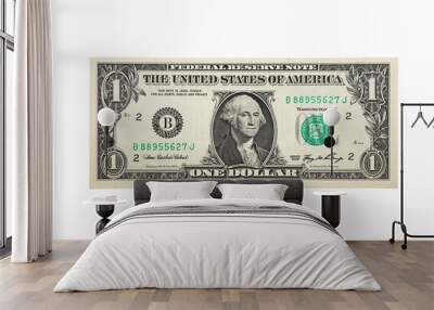 dollar isolated on a white background Wall mural