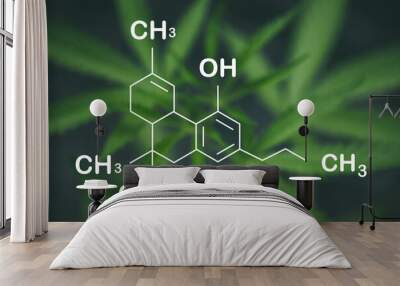 THCV molecular formula. Tetrahydrocannabivarin molecule structure on white background.
 Wall mural