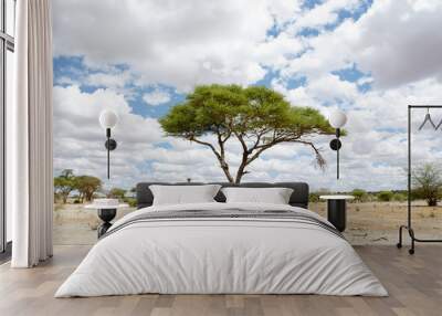  Acacia Tree in a plains Wall mural