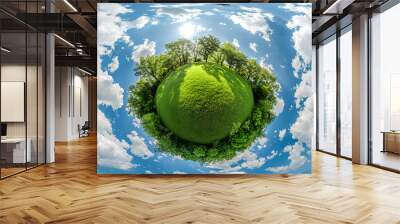 A spherical panorama of a green meadow with trees and a bright blue sky with white clouds, giving the impression of a miniature planet. Wall mural