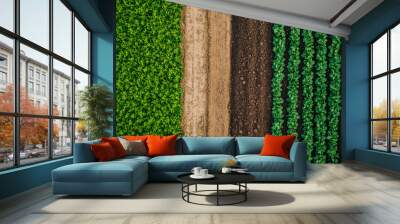 Regenerative agriculture, improving soil health and biodiversity concept with two side fields Wall mural