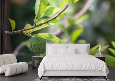 sugar apple on tree Wall mural