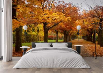 A road in the forest full of consistent autumn leaves and orange autumn brawl around it  Wall mural