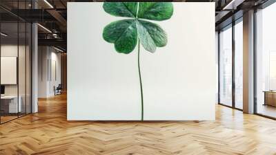 a lucky leaf clover set against a clean white background, symbolizing good fortune and positivity Wall mural