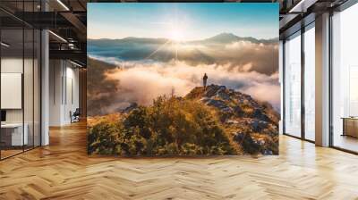 Successful hiker enjoying at top of mountain above clouds Wall mural