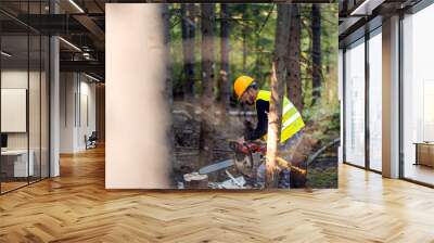 Young lumberjack working with chainsaw in forest Wall mural