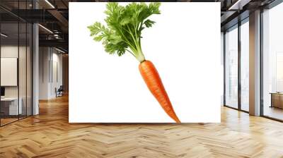 Clear Fresh Carrot Illustrations Wall mural