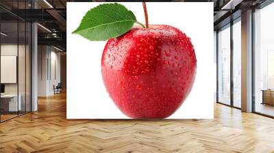 Transparent Red Apple Set Wall mural