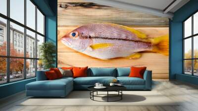 Brownstripe Snapper seafood fish. Wall mural