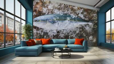 Full body of young amberjack fish. Wall mural