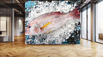 Red snapper fish from fishery market. Wall mural