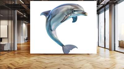 Beautiful dolphin is jumping out of water on a white background Wall mural