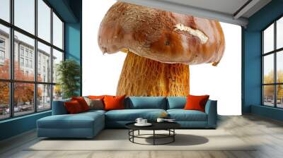 Large brown and orange mushroom standing on a white background, its textured surface is highlighted by the studio lighting Wall mural