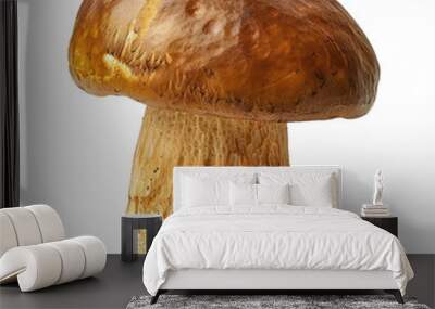 Large brown mushroom standing on a white background in a studio setting Wall mural