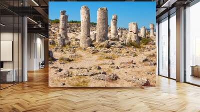 Standing Stones Panorama Wall mural