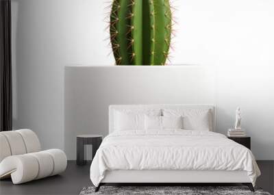 A small cactus in a white pot. Wall mural