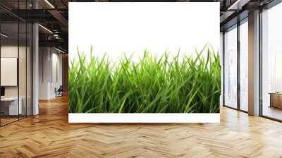 Fresh green grass isolated against a transparent background Wall mural