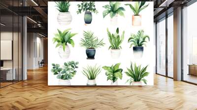 Set of Pot green plants watercolor hand drawn home decoration Wall mural