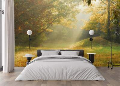 foggy rural scene Wall mural