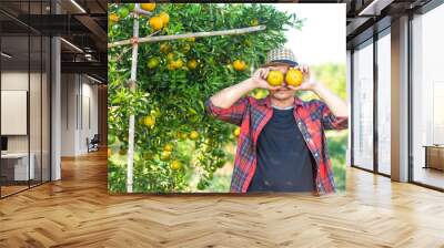 The male orange gardeners are harvesting the crops on the farm to send the orange for sale with a smile. Agricultural concept Wall mural