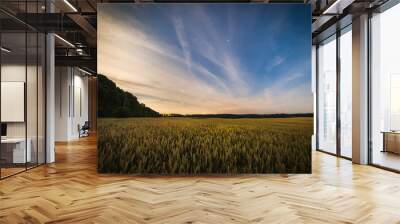 Yellow wheat field at bright cloudy night Wall mural