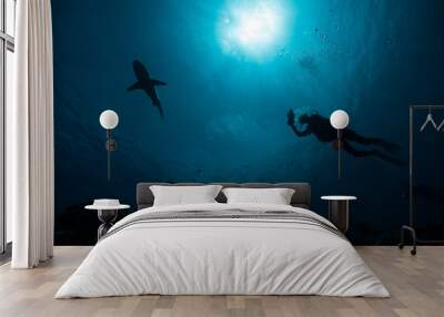 shark adventure Wall mural