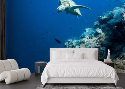 underwater creature Wall mural