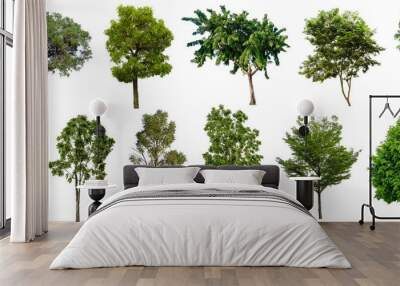 Set beautiful trees isolated on white background, Suitable for use in architectural design and decoration work. Wall mural