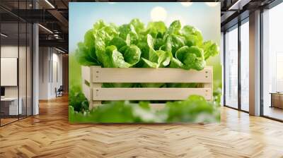 Fresh green lettuce in a wooden crate, surrounded by a soft-focus green background, symbolizing healthy, organic produce. Wall mural