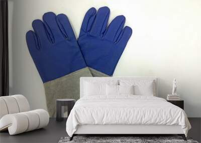 Blue gloves safety on white background. Wall mural