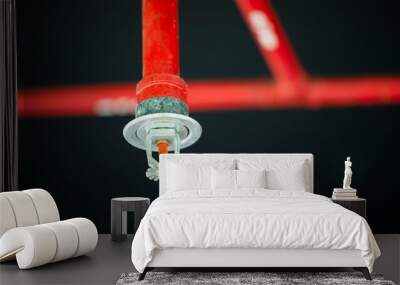 Fire sprinkler and red pipe. Wall mural