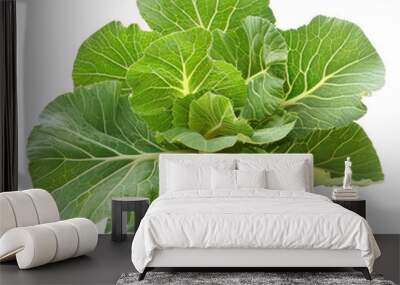 A cluster of fresh, green collard greens with visible veins, isolated on white background. Wall mural