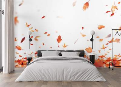 Autumn leaves isolated on white background Wall mural