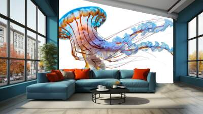 Beautiful jellyfish isolated on white background Wall mural