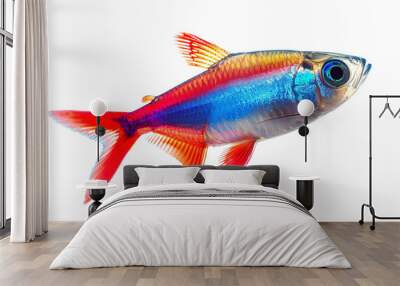 Beautiful neon tetra fish isolated on white background Wall mural