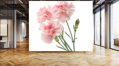 Beauty carnation flower isolated on a white background Wall mural