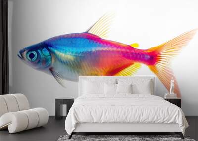 Exotic fish, neon tetra isolated on white background Wall mural