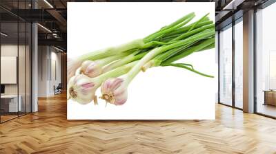 Fresh green garlic isolated on white background Wall mural