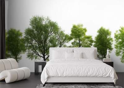 Green trees isolated on white background Wall mural