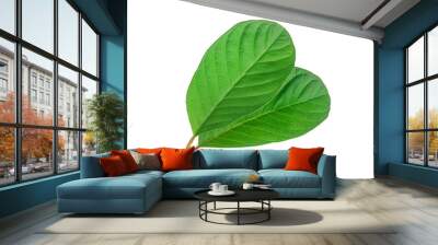 Guava two leaf isolated on white background. Wall mural