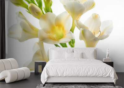 White bealuty freesia flower isolated on a white background Wall mural